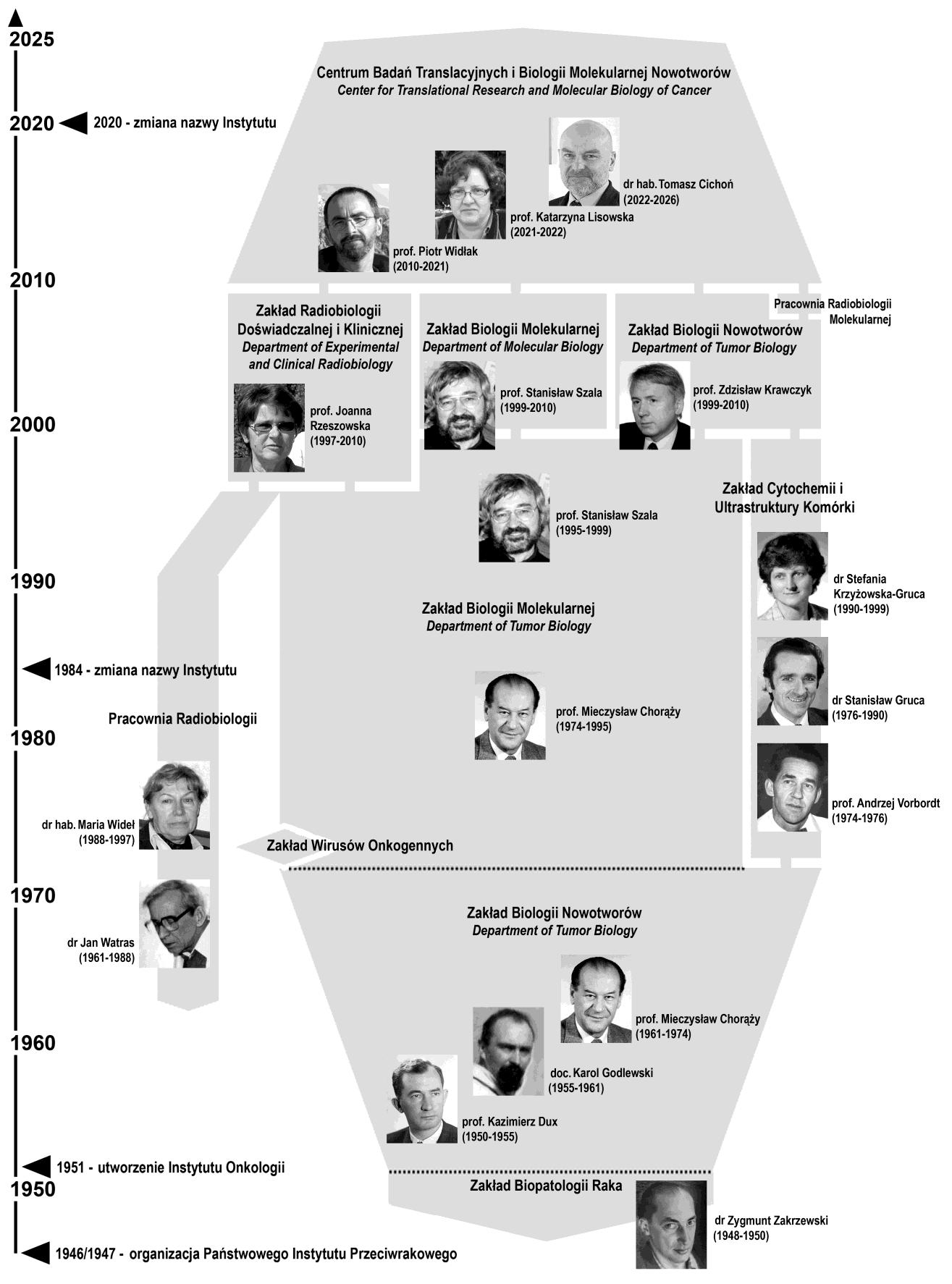 Schemat organizacyjny Działu Badawczego 1948-2026