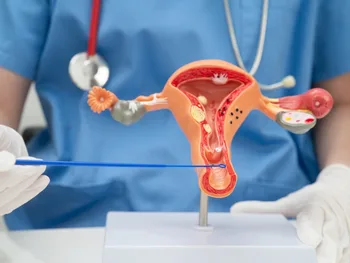 Model anatomiczny żeńskiego układu rozrodczego trzymany przez osobę w rękawiczkach medycznych