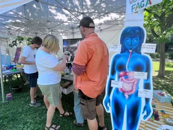 Ludzie przy stoisku na pikniku, obok plansza z ludzkimi organami i napisem „Stwórz własnego faga